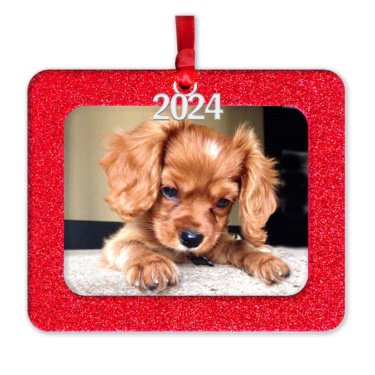 photo ornament