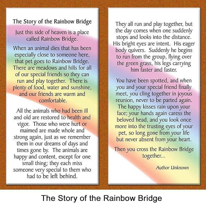"The Story of the Rainbow Bridge" Pet Remembrance Picture Frame Gift Set